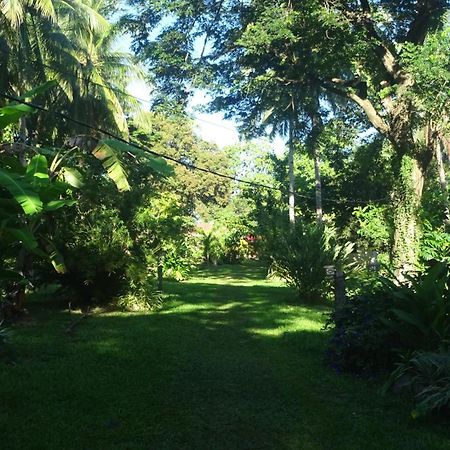 Acacia'S Cottages With Starlink Wifi Mambajao Bagian luar foto