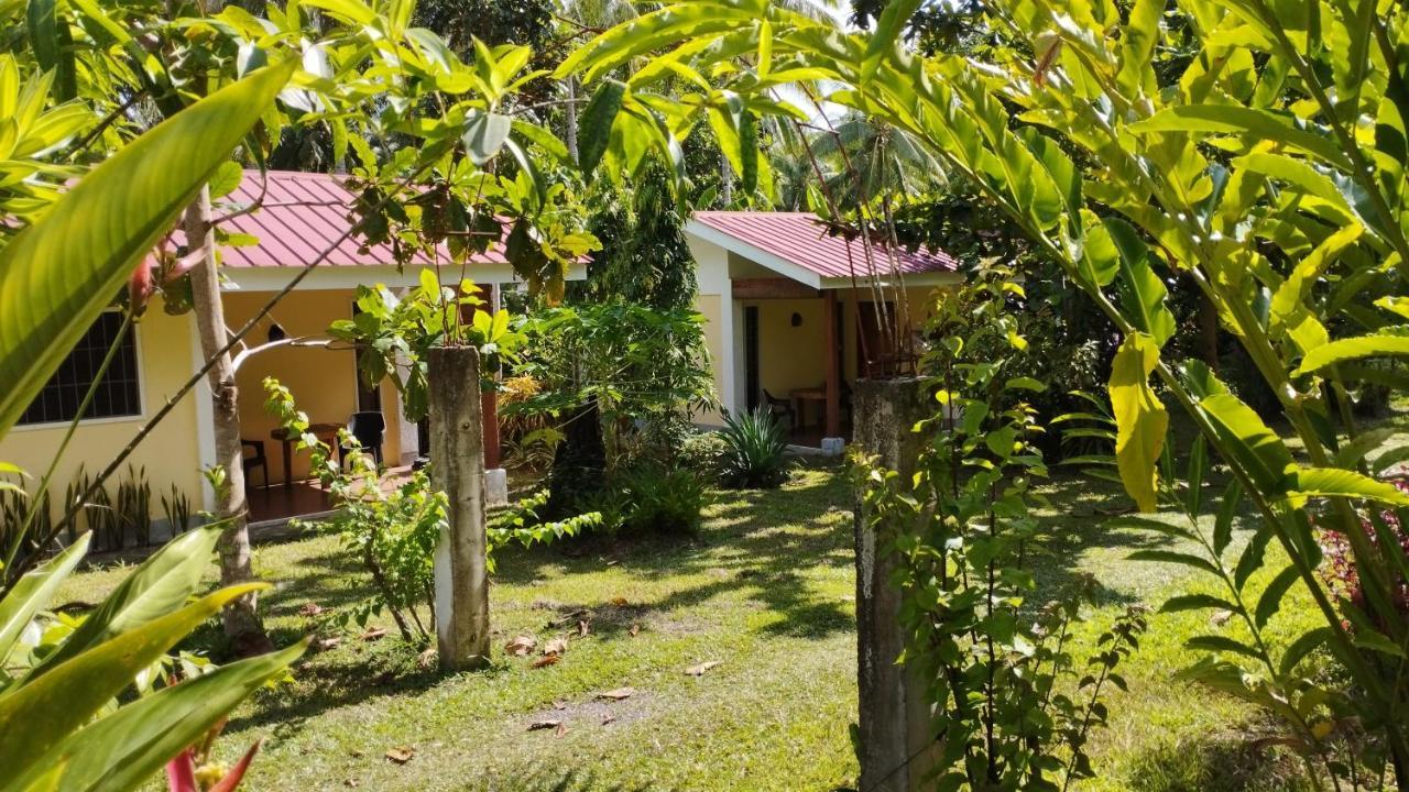 Acacia'S Cottages With Starlink Wifi Mambajao Bagian luar foto
