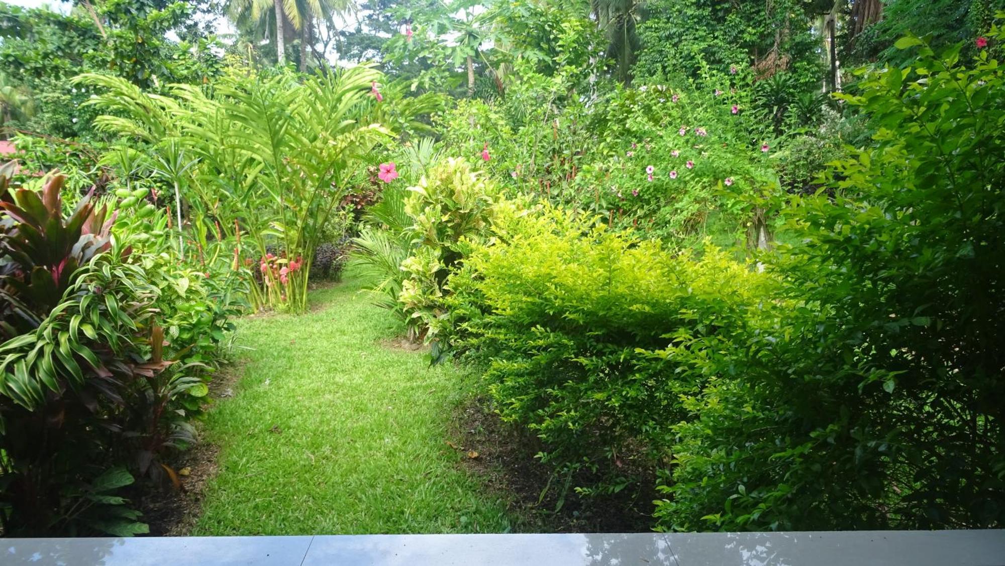 Acacia'S Cottages With Starlink Wifi Mambajao Bagian luar foto