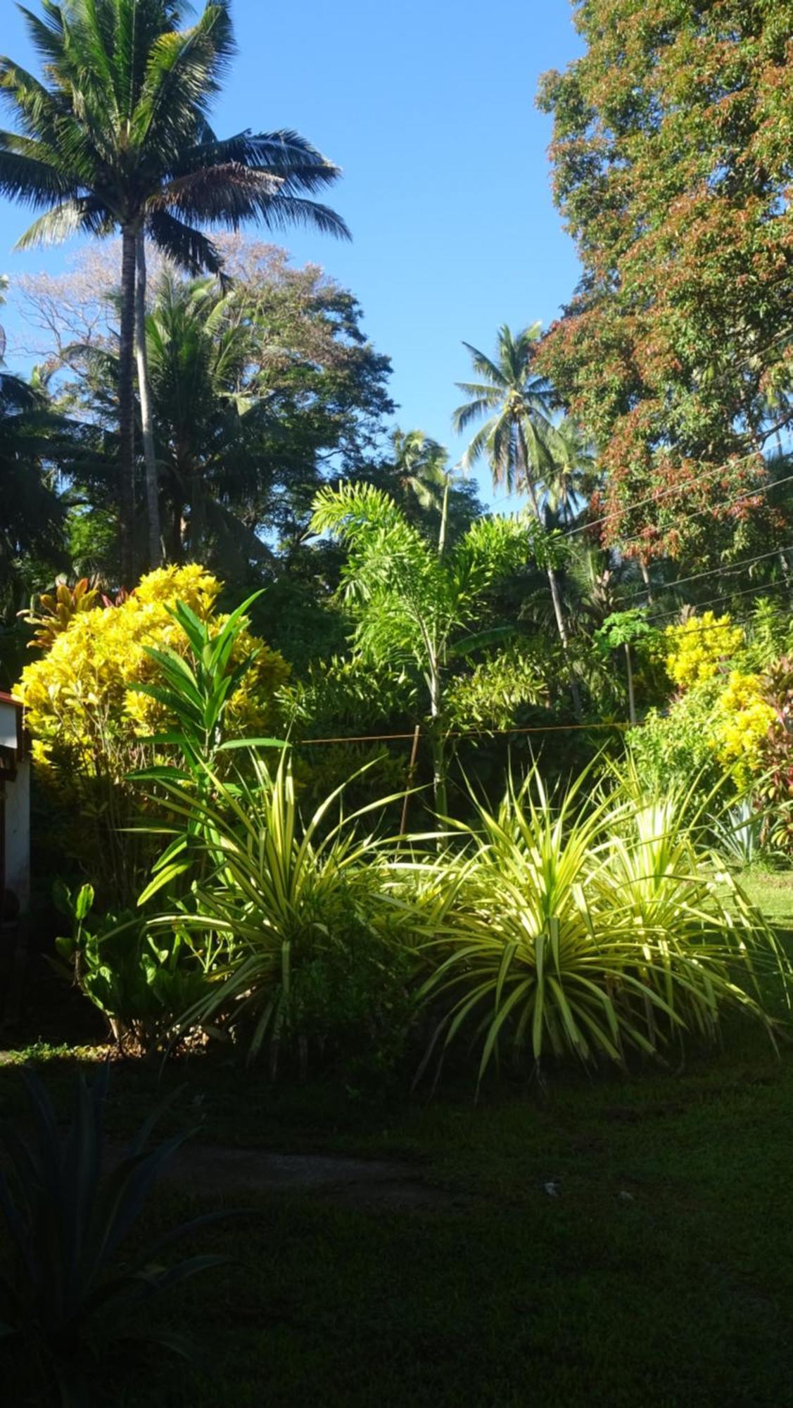 Acacia'S Cottages With Starlink Wifi Mambajao Bagian luar foto