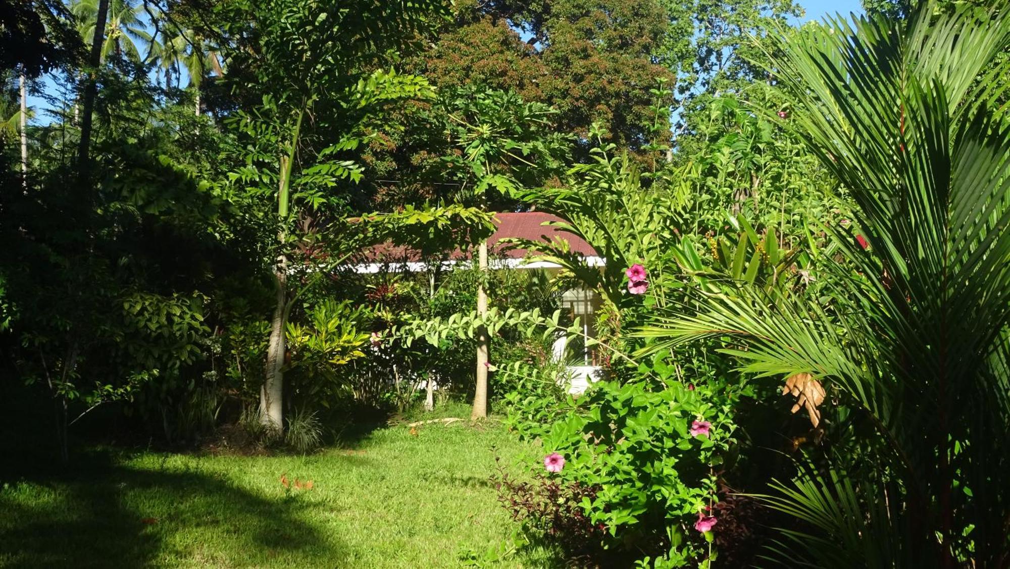 Acacia'S Cottages With Starlink Wifi Mambajao Bagian luar foto