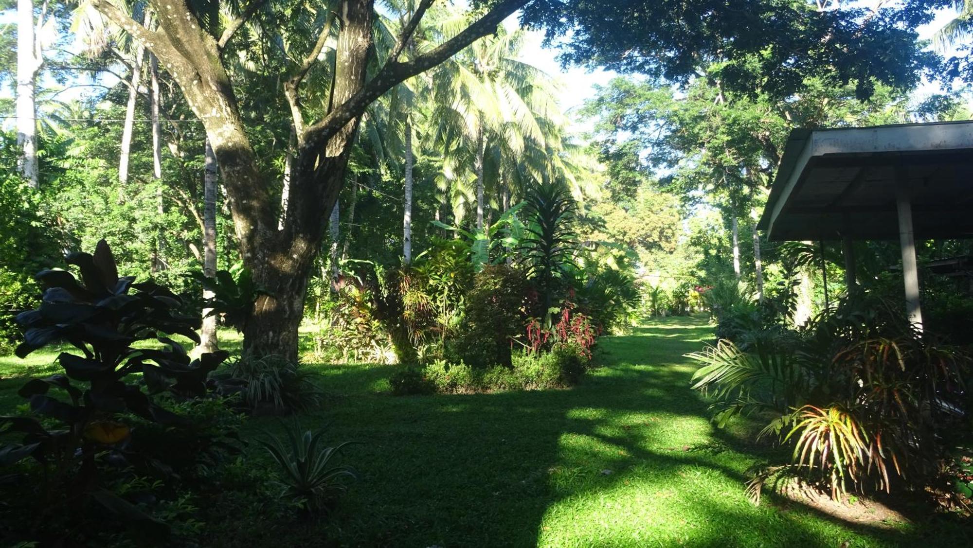 Acacia'S Cottages With Starlink Wifi Mambajao Bagian luar foto